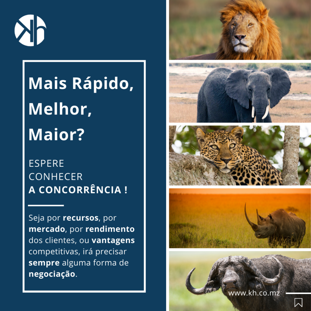 Imagem que mostra os cinco maiores animais de Africa e refere à competição